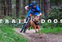 Traildog Ruby Morvelo Blog Video01